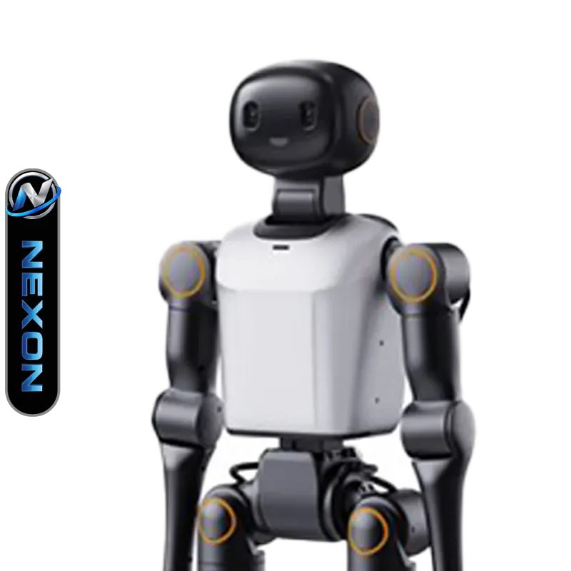 Booster K1 by Booster Robotics